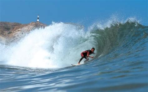Surfing Spell Tangerine Shell: Unlocking the Secrets of the Ocean